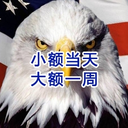 要账公司